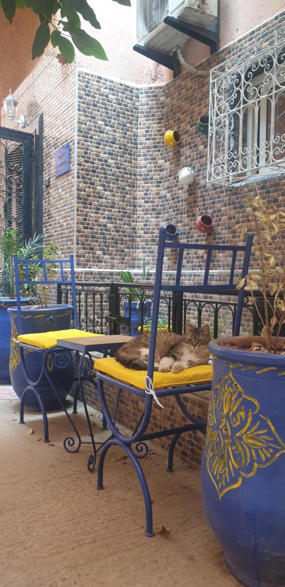 Riad Ramona Lqariya Seyaheya Маракеш Екстериор снимка